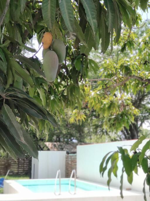 Casa Mango Amplia Con Alberca Y Cerca De La Media Luna !!! Río Verde 외부 사진