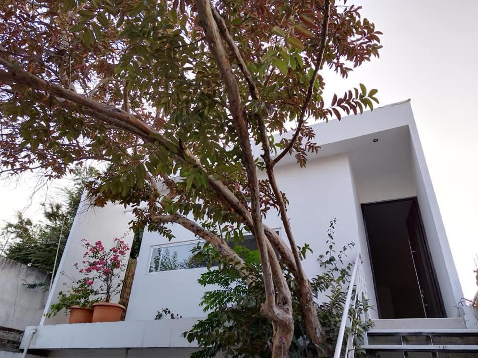 Casa Mango Amplia Con Alberca Y Cerca De La Media Luna !!! Río Verde 외부 사진